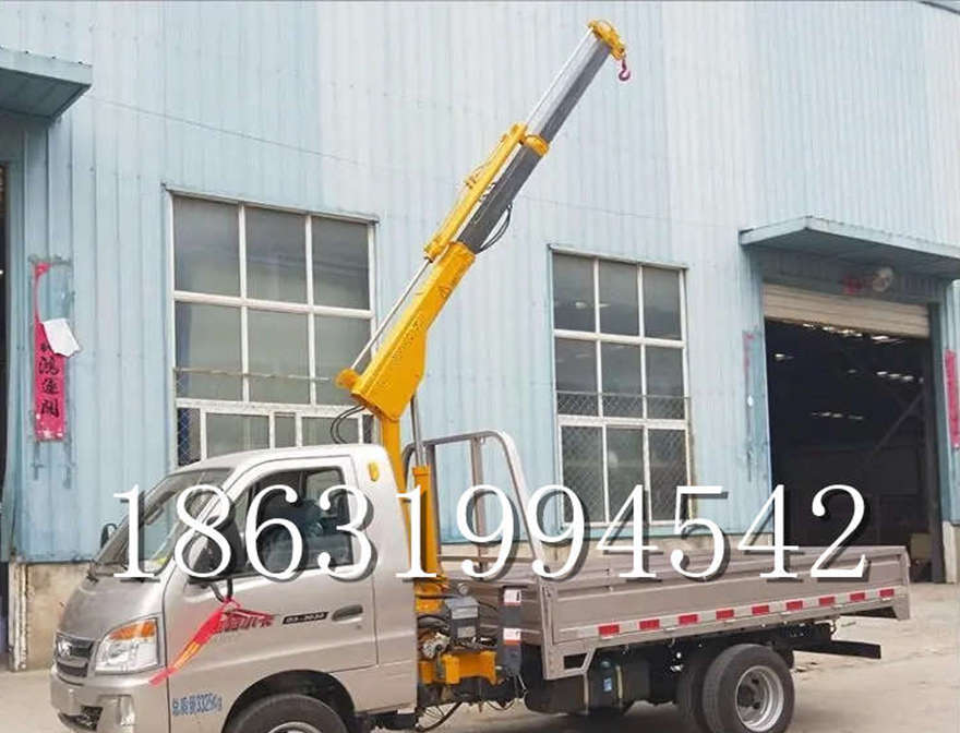 亚东县车载吊机小型吊车小吊机220V车载吊机起重机车载小型